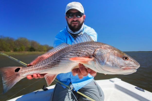 Winter-Inshore / Nearshore-Fishing-Charter-Hilton-Head-SC Hilton Head Cold Weather Impact on Fish
