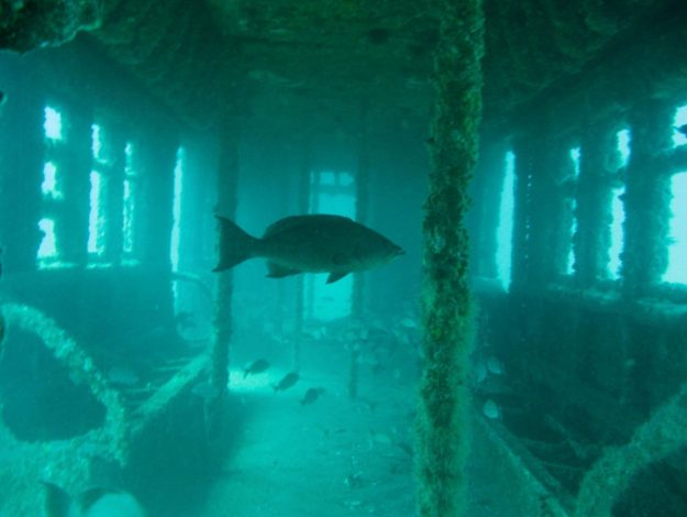 artificial-reef