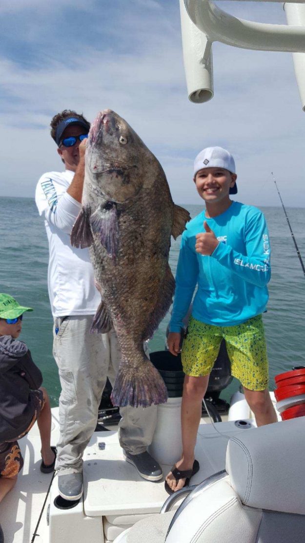 black drum