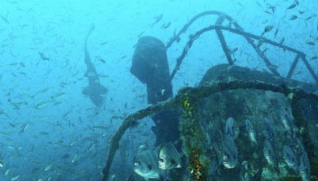 south carolina artificial reefs